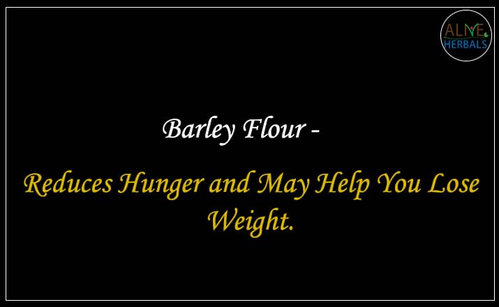 Barley Flour - Buy From the grains shop