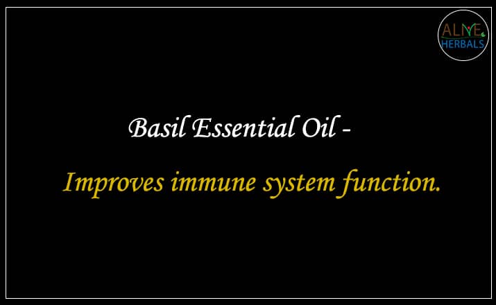 Basil Essential Oil - Buy From the aromatherapy company