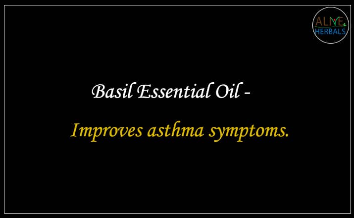 Basil Essential Oil - Buy From the aromatherapy supplier