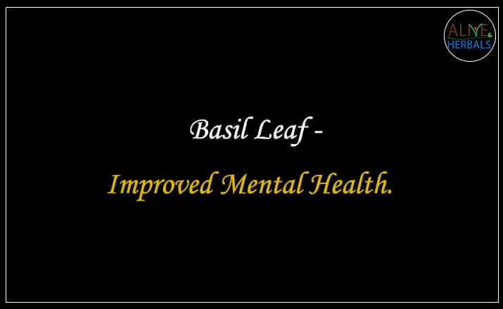 Basil Leaf - Buy from the natural health food store