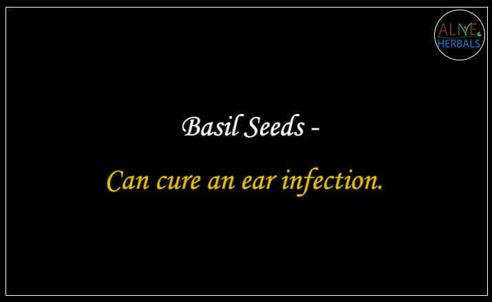 Basil Seeds - Buy from the natural health food store