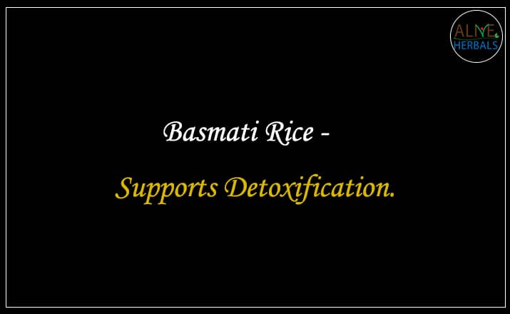 Basmati Rice - Buy From the best rice store