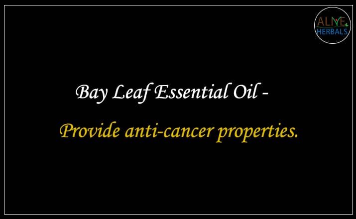 Bay Leaf Essential Oil - Buy From the aromatherapy supplier