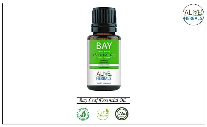 Bay Leaf Essential Oil - Buy From the aromatherapy Shop