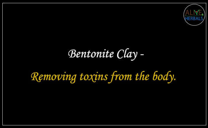 Bentonite Clay - Buy from the natural herb store