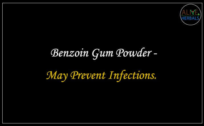 Benzoin Gum Powder - Buy from the natural health food store