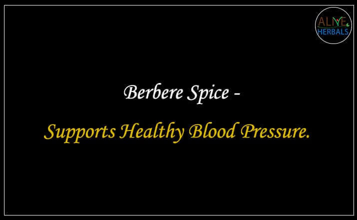 Berbere Spice - Buy at the Spice Store Brooklyn - Alive Herbals.
