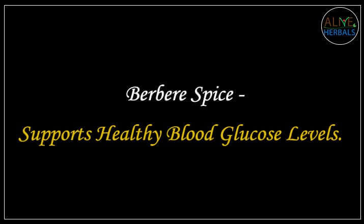 Berbere Spice - Buy at Spice Store Near Me - Alive Herbals.