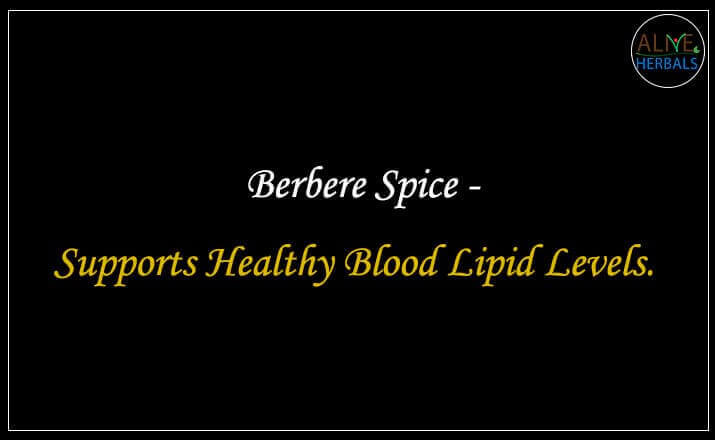 https://www.aliveherbals.com/cdn/shop/files/Berbere-Spice-Health-Benefits_1200x.jpg?v=1685989302