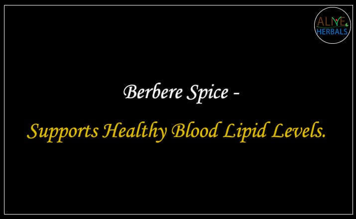 Berbere Spice - Buy at the Best Spice Store NYC - Alive Herbals.
