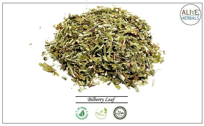 Bilberry Leaf - Buy from the health food store