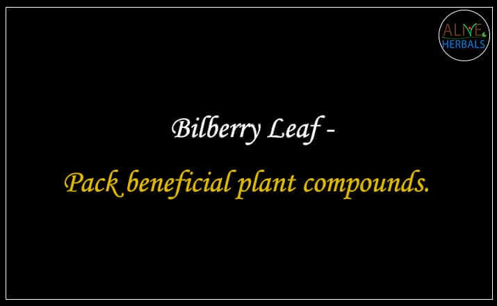 Bilberry Leaf - Buy from the online herbal store