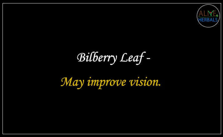 Bilberry Leaf - Buy from the natural health food store