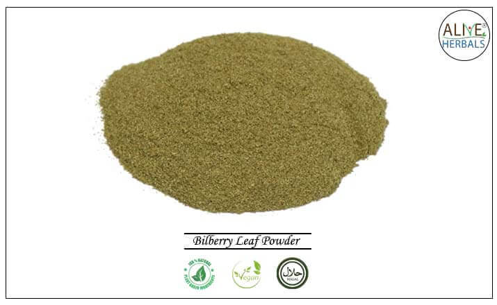 Bilberry Leaf Powder - Buy from the health food store