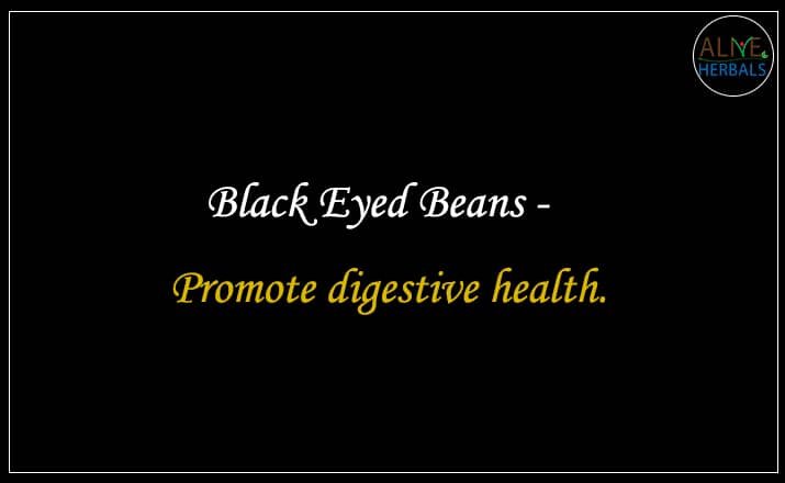 Black Eyed Beans - Buy From the beans store