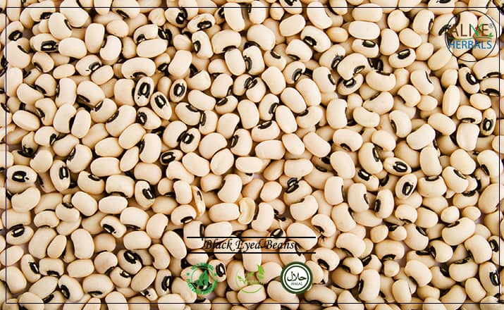 Black Eyed Beans- Buy From the Health Food Store