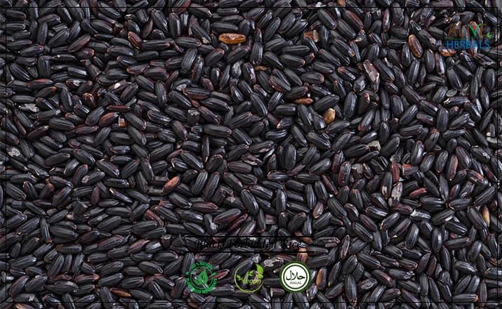 Black Forbidden Rice- Buy From the Health Food Store