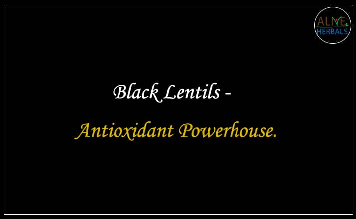 Black Lentils - Buy From the lentils shop