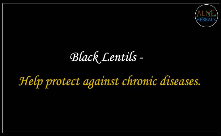 Black Lentils - Buy From the lentils store