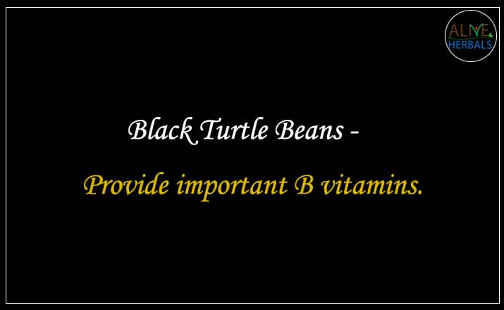 Black Turtle Beans - Buy From the Best beans online store