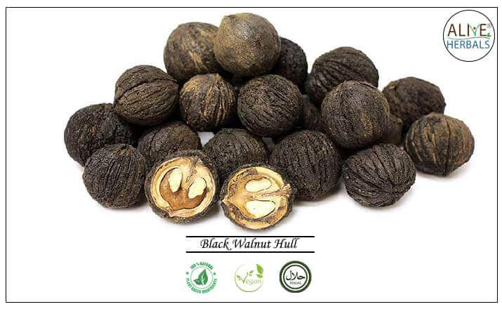 Black Walnut Hull - Buy from the health food store