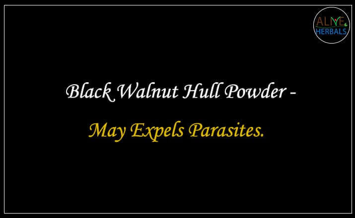 Black Walnut Hull Powder - Buy from the natural herb store