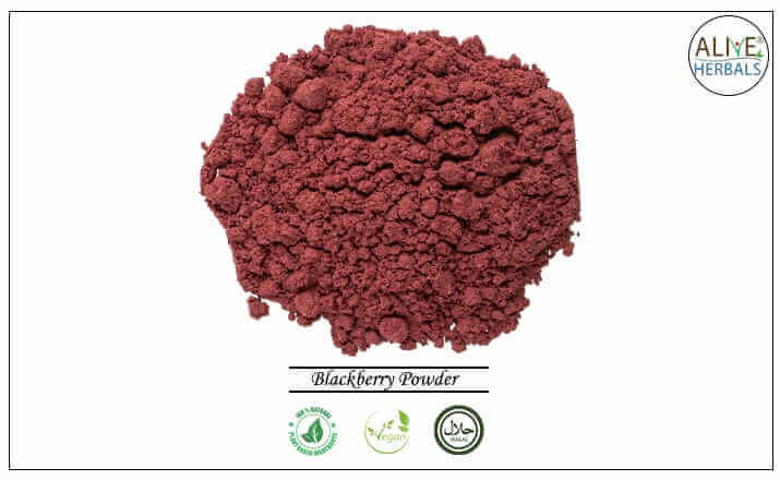 Blackberry Powder - Buy from the health food store
