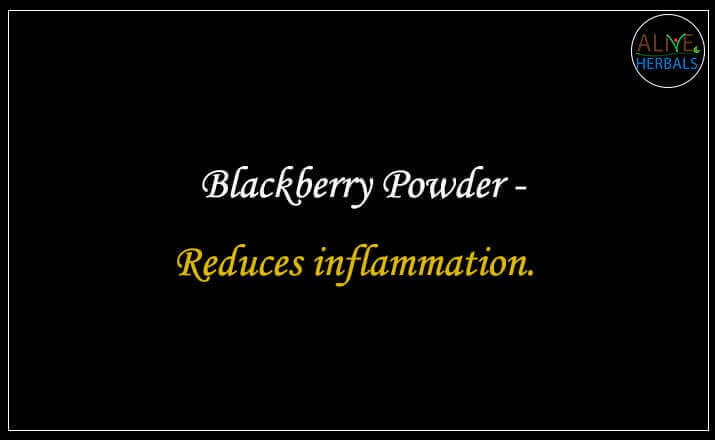 Blackberry Powder - Buy from the natural health food store