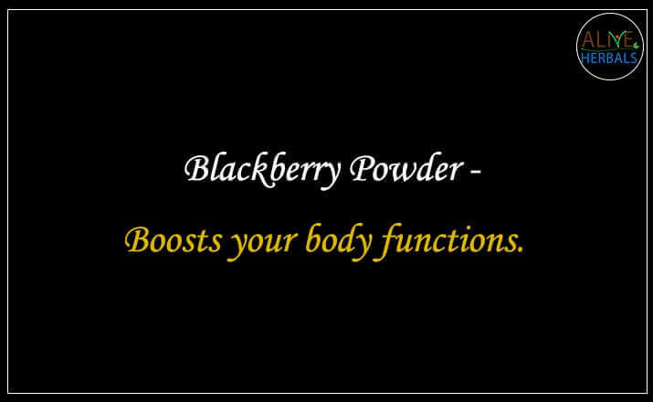 Blackberry Powder - Buy from the natural herb store
