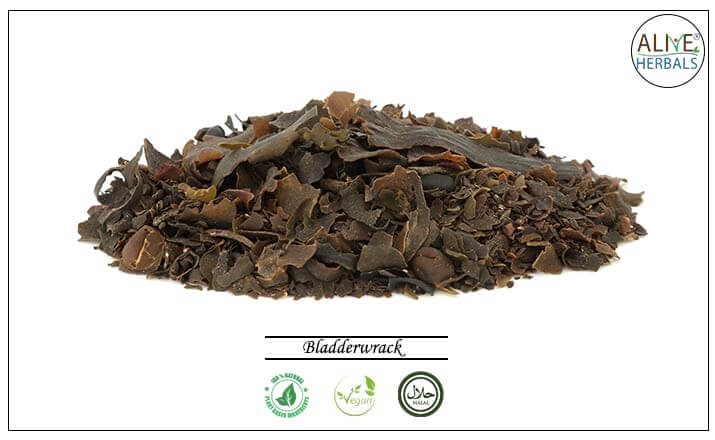 Bladderwrack - Buy from the health food store