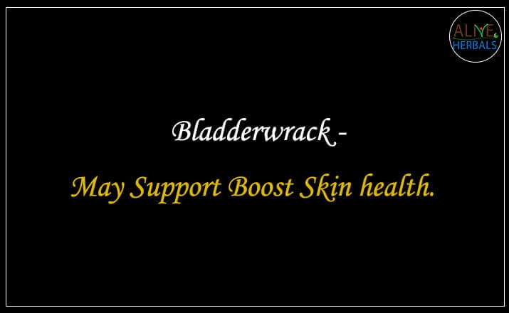 Bladderwrack - Buy from the natural health food store