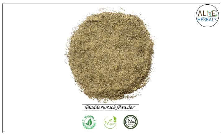 Bladderwrack Powder - Buy from the health food store