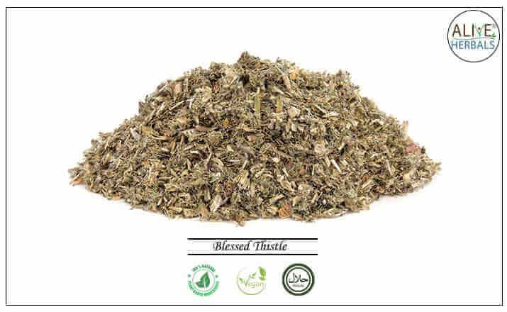 Blessed Thistle - Buy from the health food store