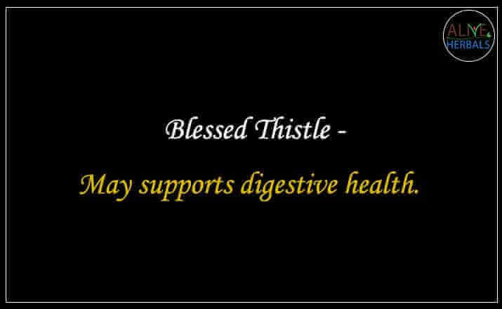 Blessed Thistle - Buy from the natural herb store