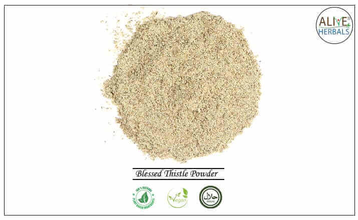 Blessed Thistle Powder - Buy from the health food store