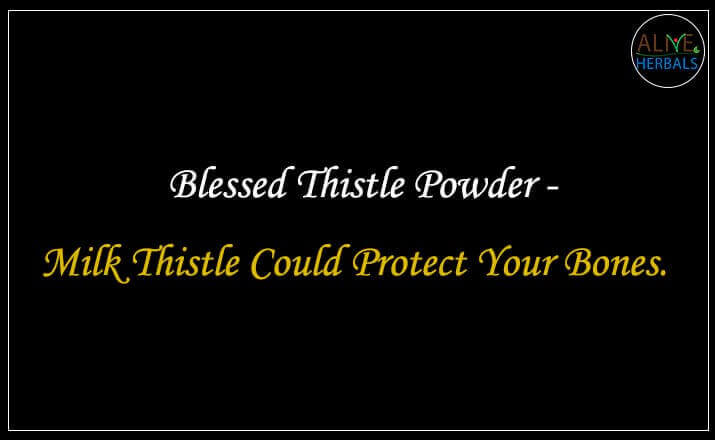 Blessed Thistle Powder - Buy from the natural health food store