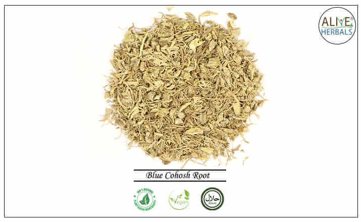 Blue Cohosh Root - Buy from the health food store