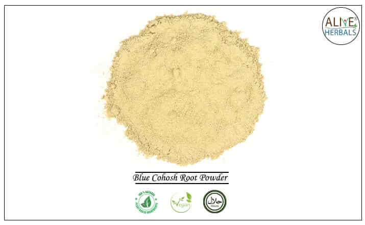 Blue Cohosh Root Powder - Buy from the health food store