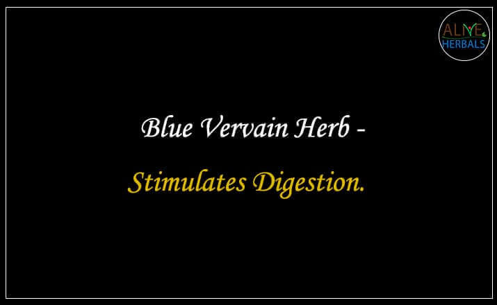 Blue Vervain Herb - Buy from the natural health food store