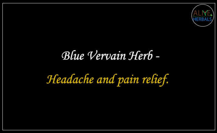 Blue Vervain Herb - Buy from the natural herb store