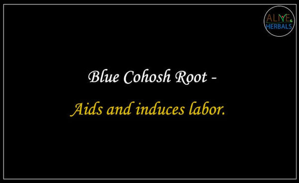 Buy Premium Blue Cohosh Root Online Alive Herbals