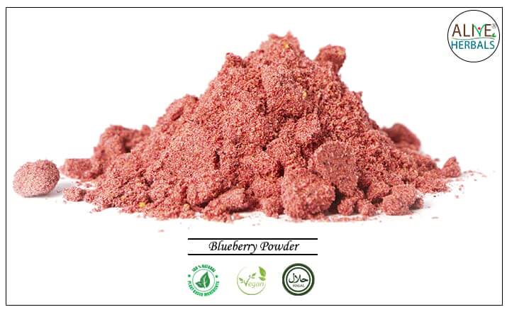 Blueberry Powder - Buy from the health food store
