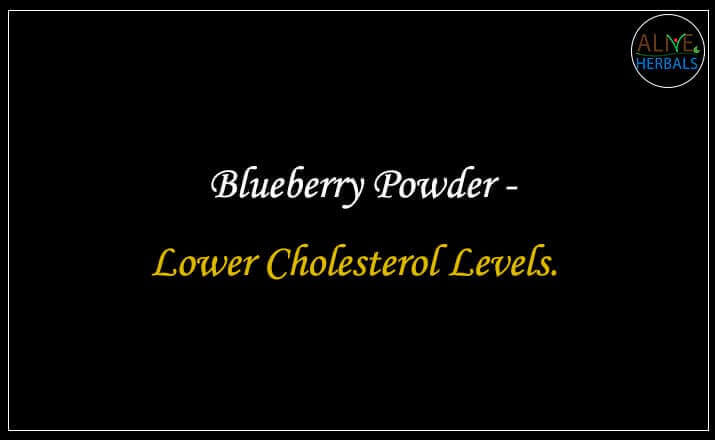 Blueberry Powder - Buy from the online herbal store