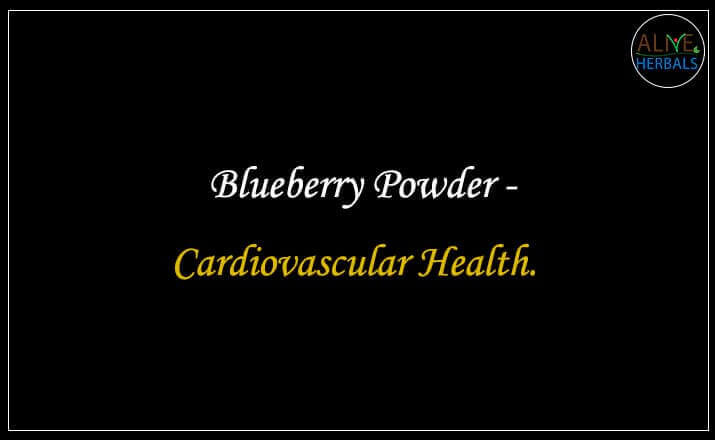 Blueberry Powder - Buy from the natural health food store