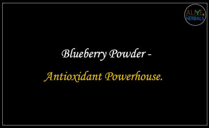 Blueberry Powder - Buy from the natural herb store