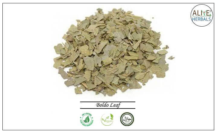 Boldo Leaf - Buy from the health food store