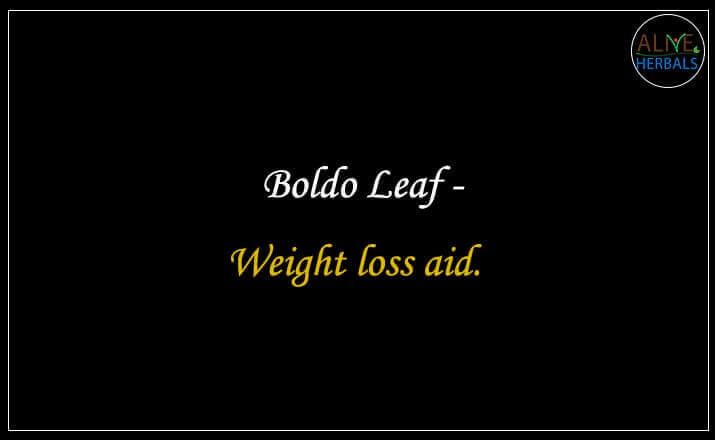 Boldo Leaf - Buy from the online herbal store