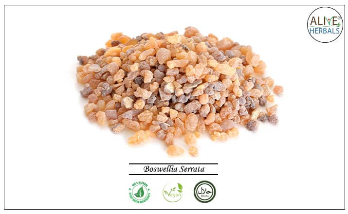 Boswellia Serrata - Buy from the health food store