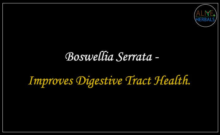 Boswellia Serrata - Buy from the online herbal store