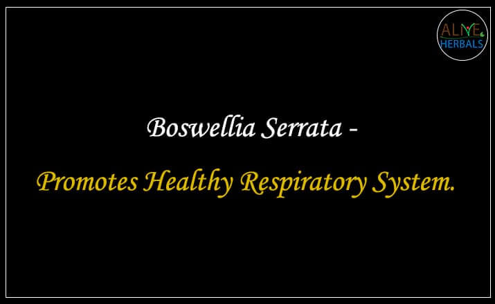 Boswellia Serrata - Buy from the natural health food store